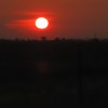 Although we routinely see views such as thisy early AM run, it is still unusual to see such things by early AM car trips!